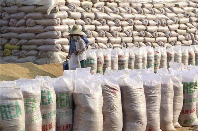 Vietnam's rice exports reach US$3.07 billion in 2020. (Photo: VNA)