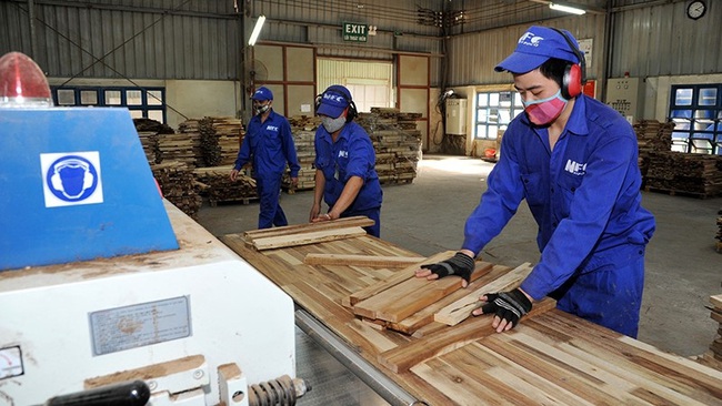 A wood processing factory in Nam Dinh Province (Photo: Viet Thang)