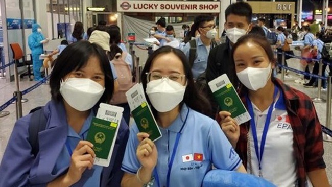 Vietnamese nurses and aides are on their way to Japan for work. (Artwork: Vietnamplus)