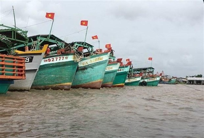 Fishing vessels of Ca Mau province (Photo: VNA)