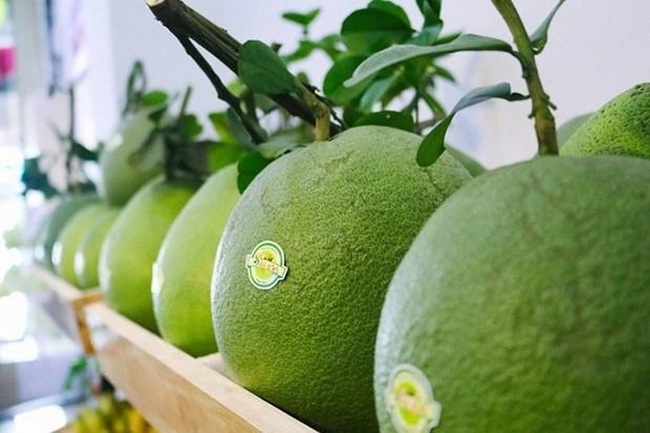 Vietnamese pomelo has been licenced to be exported to the US. (Photo: Ministry of Industry and Trade)