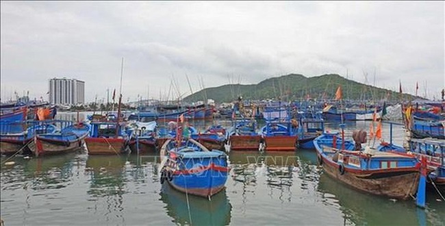 Fishing vessels in Khanh Hoa province (Photo: VNA)