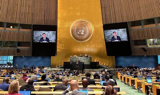 An overview of UN General Assembly’s 11th Emergency Special Session. (Photo: VNA)
