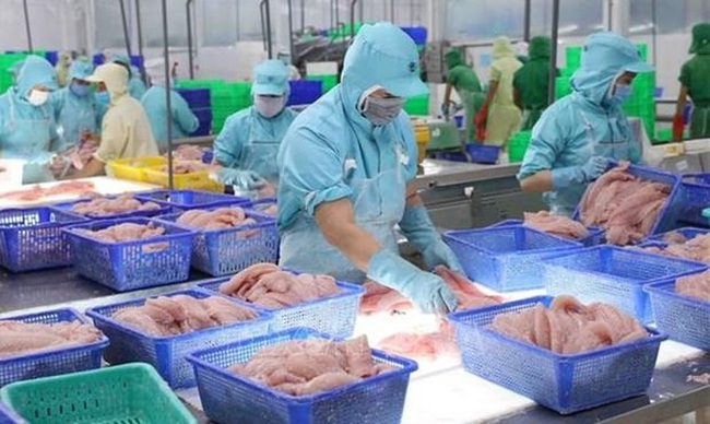 Export value of aquatic products up 38% in nine months | VTV