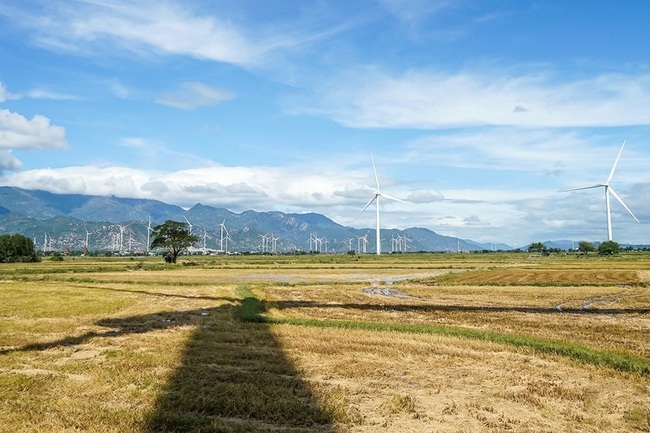A wind farm in Ninh Thuan.