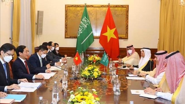 At the talks between Foreign Minister Bui Thanh Son and his Saudi Arabian counterpart Prince Faisal Bin Farhan Al Saud (Photo: VNA)