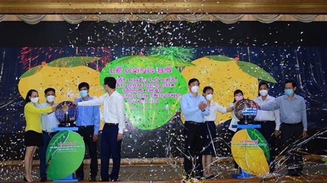 The Mekong province of Dong Thap held a ceremony on February 1 to announce the export of the first batch of mangoes to the European market in 2022. (Photo: VNA)
