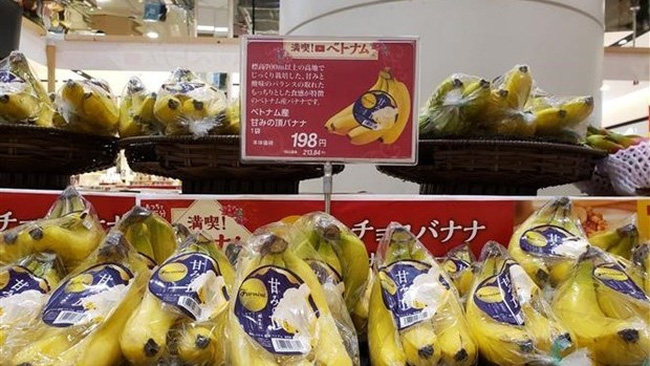 Vietnamese banana put up for sale at a supermarket in Japan (Photo: VNA)