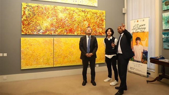 Vietnamese young artist’s paintings exhibited in the UK. (Photo: VNA)