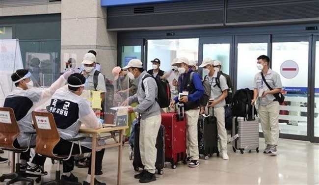 Vietnamese workers wait to handle entry procedures at Incheon International Airport of the RoK. (Photo: VNA)