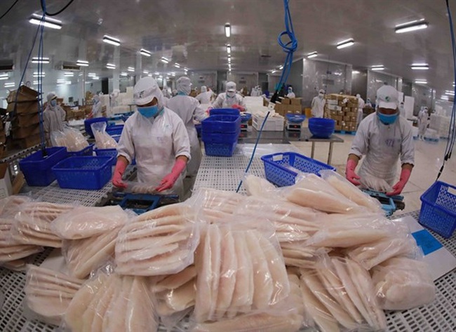 Workers packaging pangasius fillets at a processing plant of I.D.I International Development & Investment Corporation. (Photo: VNA)