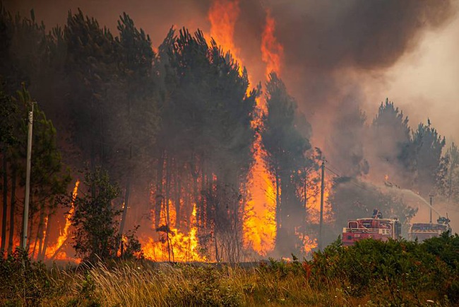 Hãy đến và xem hình ảnh đầy mê hoặc của rừng rực lửa! Không chỉ là một thảm họa, cháy rừng còn mang lại những cảnh tượng đẹp mắt mà bạn không muốn bỏ lỡ.
