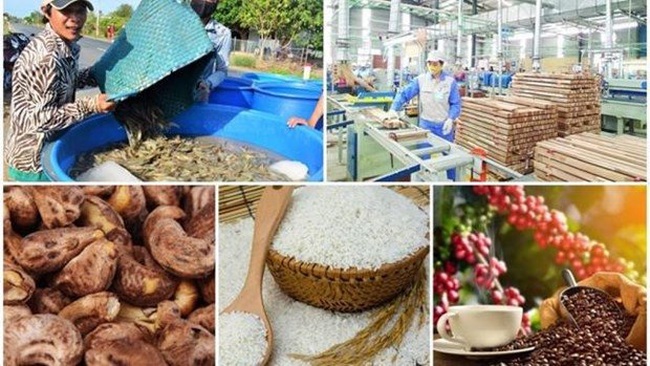 Nine agricultural items surpass 1-billion-USD mark in export turnover - Illustrative image (Source: congthuong.vn)