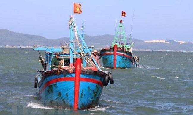 Vietnam's fishing vessels (Photo: VNA)