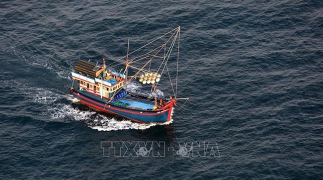 A Vietnamese fishing vessel (Photo: VNA)