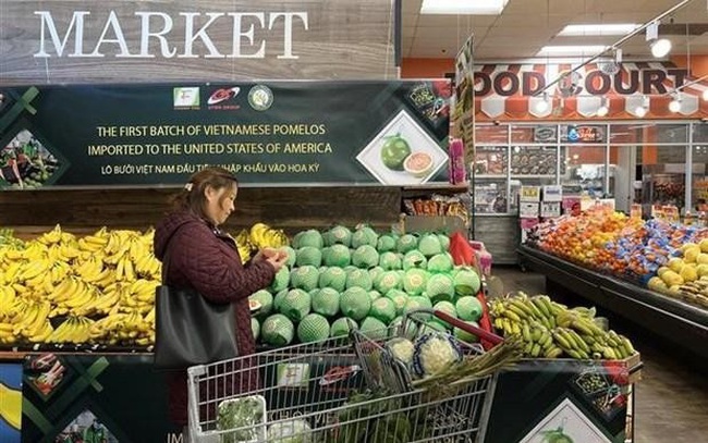 Vietnamese pomelos at a US supermarket (Photo: VNA)