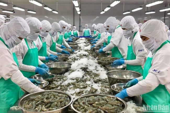 Seafood export revenue reaches a record 11 billion USD in 2022.