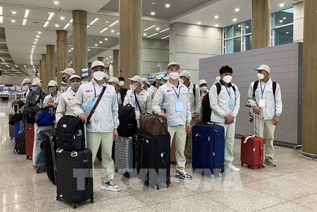 Vietnamese workers at Incheon airport in the RoK . (Photo: VNA)