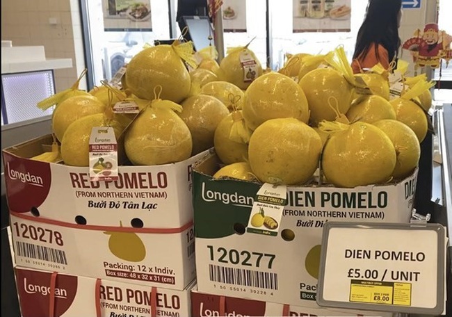 Dien pomelo and Red pomelo on the shelves of Longdan supermarket (Photo: VNA)