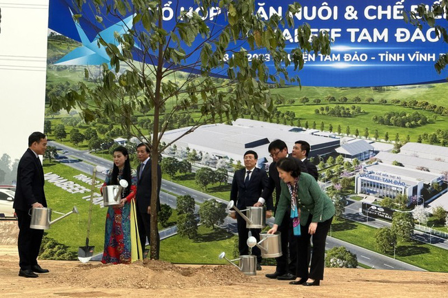 Delegates plant a memorial tree at the site of the complex.