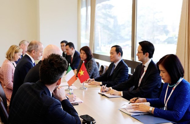 At the meeting between Deputy PM Tran Luu Quang and Ireland’s Deputy Prime Minister and Minister of Foreign Affairs and Defence Micheál Martin (Photo: VNA)