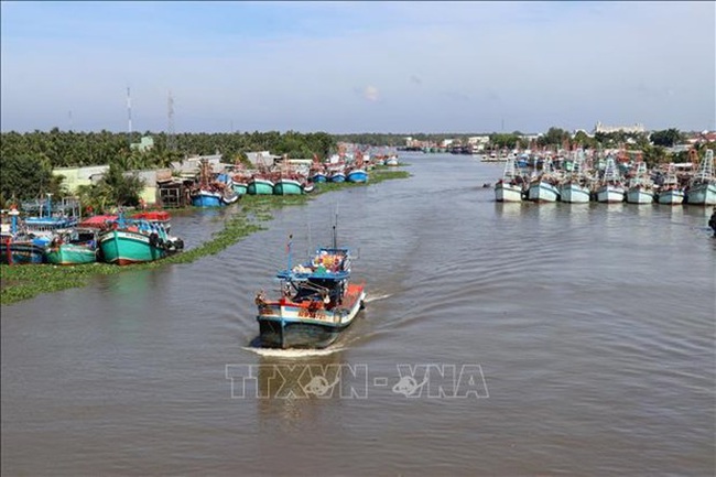 Fishing vessels of Vietnam (Photo: VNA)
