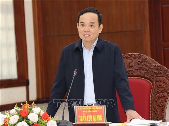 Deputy Prime Minister Tran Luu Quang (File photo: VNA)