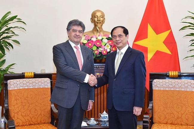 Foreign Minister Bui Thanh Son (R) hosts a reception for Armenian Ambassador to Vietnam Vahram Kazhoyan on April 4. (Photo: VNA)