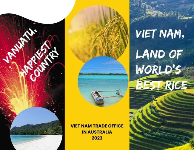 Vietnam's ST25 rice exported to the Republic of Vanuatu