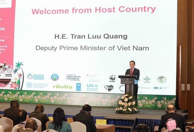 Deputy Prime Minister Tran Luu Quang speaks at the conference. (Photo: VNA)