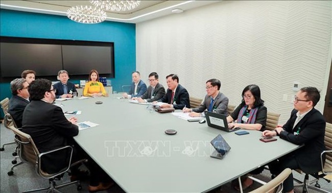 At the working session between Deputy Minister of Health Do Xuan Tuyen and representatives of Pfizer Inc. in New York (Photo: VNA)