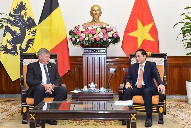 Foreign Minister Bui Thanh Son (R) receives Jan Jambon, Minister-President of the Government of the Belgian region of Flanders. (Photo: MOFA)