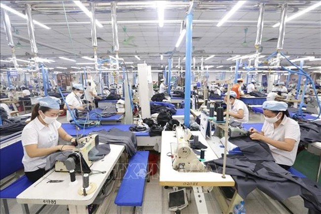 Apparel is one of the sectors that benefits most from EVFTA (Photo: VNA)