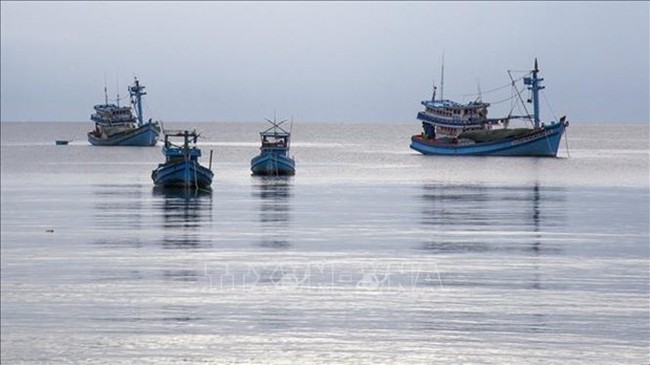 As of October 2023, all fishing vessels in Tien Giang had registered to authorities. (Photo: VNA)