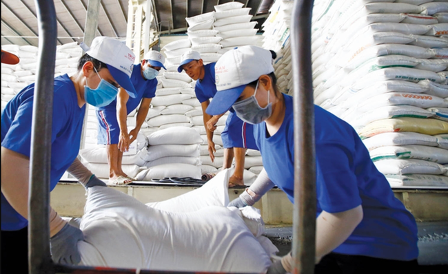 Vietnam's rice exports have brought in 3.66 billion USD. (Photo: VGP)