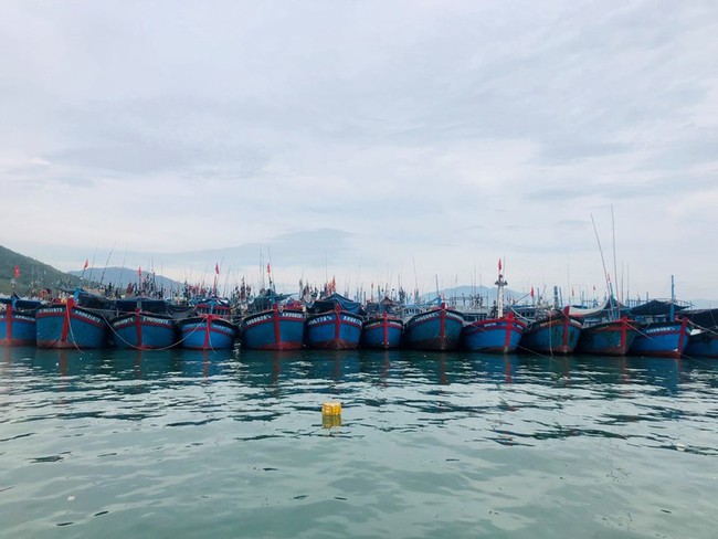 Fishing vessels dock at Hon Ro fishing port in Nha Trang City, Khanh Hoa Province (Photo: VNA)