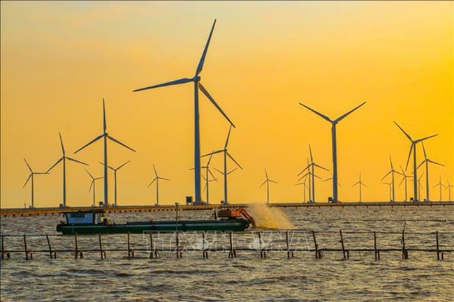 Wind turbines in the Mekong Delta province of Bac Lieu. (Photo: VNA)