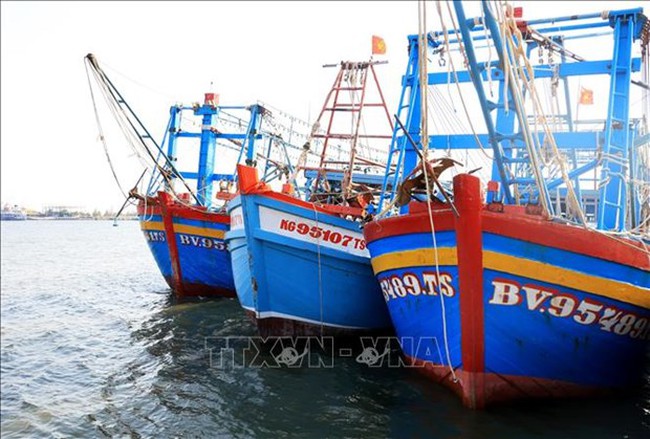 Fishing vessels in Kien Giang province (Photo: VNA)