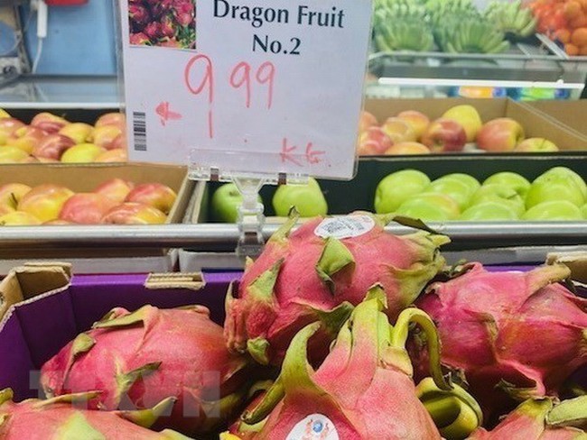 Vietnamese dragon fruit are on sale at a Vietnamese food supermarket in Melbourne, Australia.(Photo: VNA)
