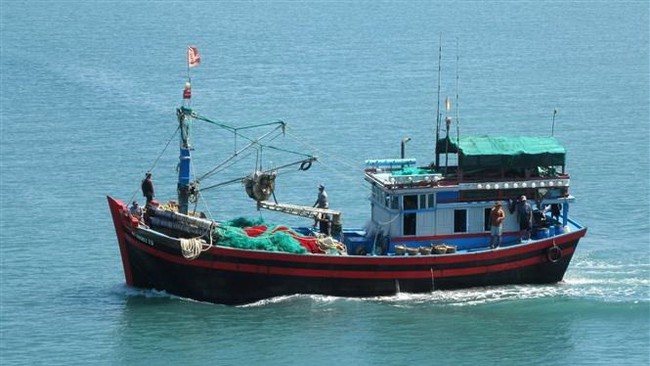 Quang Tri has nearly 2,300 fishing boats, including 460 with a length of 6 metres and above (Photo: VNA)