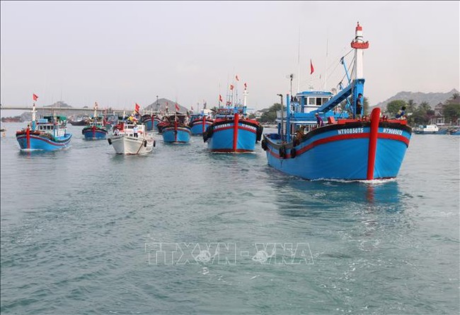 Localities urged to manage fishing vessels, trace origin - Illustrative image (Photo: VNA)