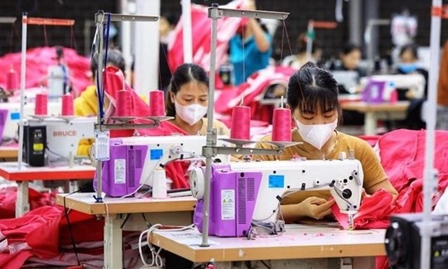 Labour productivity of the entire economy at current prices is estimated at 199.3 million VND (8,380 USD) per worker in 2023, up 274 USD than the 2022 figure (Photo: VNA)