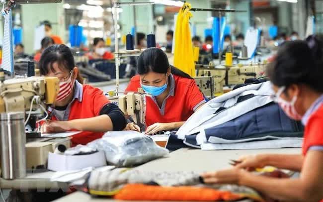 Garment-textile businesses have undergone significant changes but they have made efforts to diversify their export products with 36 items this year. (Photo: VNA)