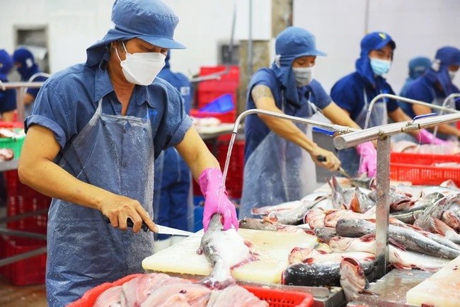 Workers process tra fish for export at a factory in Dong Thap province. (Photo: VNA)