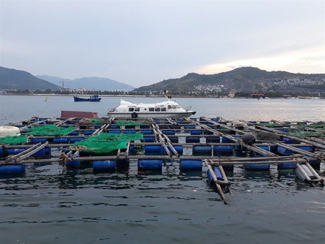 Fish cages on Tri Nguyen Island in Nha Trang Bay, Khanh Hoa province. (Photo: VNA)