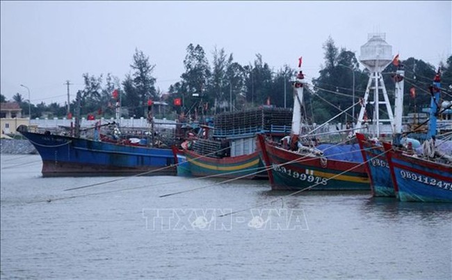 Fishing vessels in Quang Binh province. (Photo: VNA)