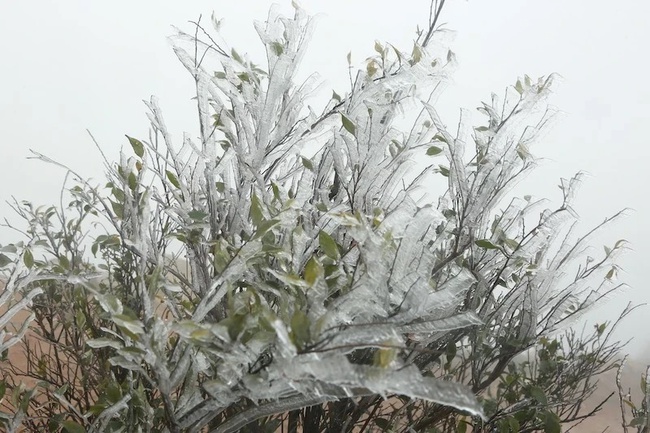 Frost seen on some high mountain peaks in Binh Lieu District, Quang Ninh Province. (Photo: NDO)