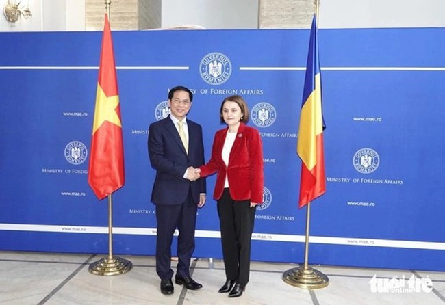 Minister of Foreign Affairs Bui Thanh Son (left) and his Romanian counterpart Luminita Odobescu. (Photo: tuoitre.vn)