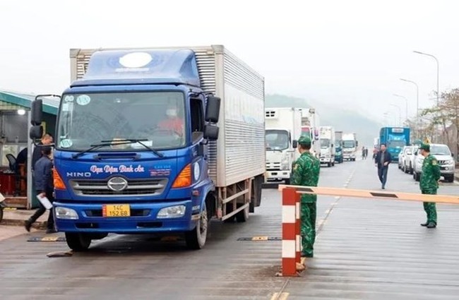Trucks transporting agricultural products via Mong Cai border gate (Photo: VNA)