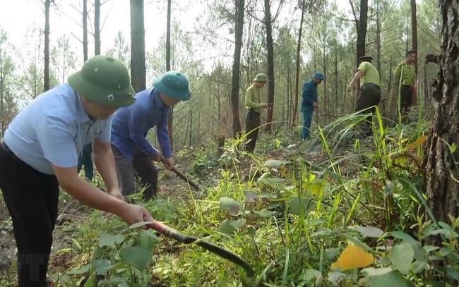 Project to develop multi-use values of forest ecosystem to 2030 approved